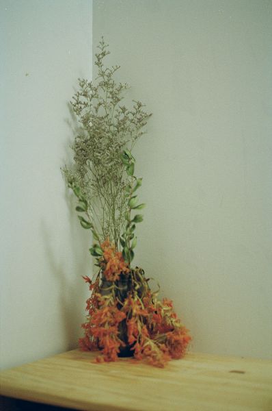 Photo by the poet, titled Eviction Notice, featuring a bouquet of flowers and green plants on a spare wooden shelf